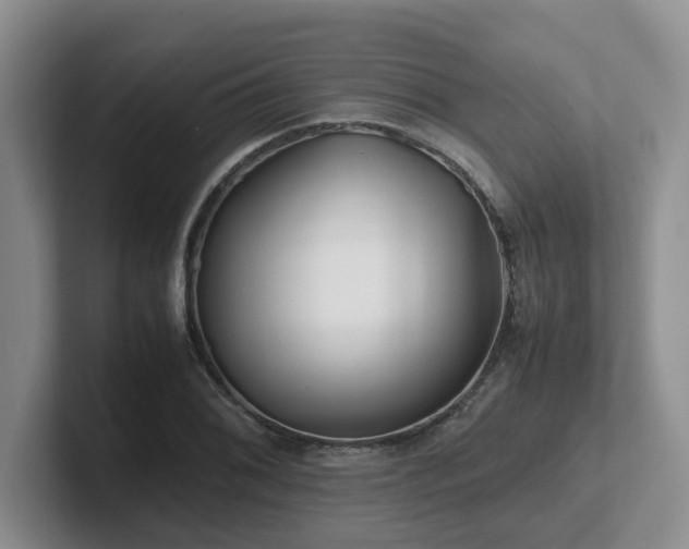 X0000102511076200808081405