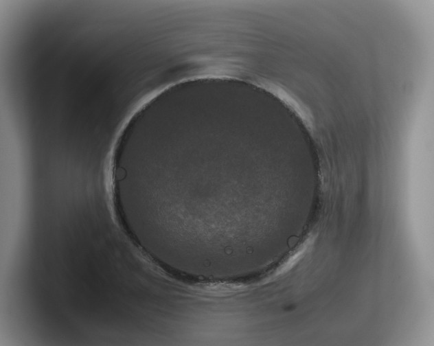 X0000102511077200808081405