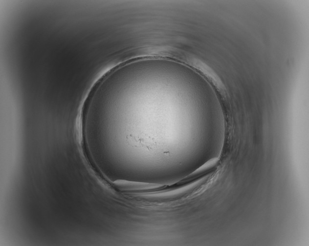 X0000102511079200808081405