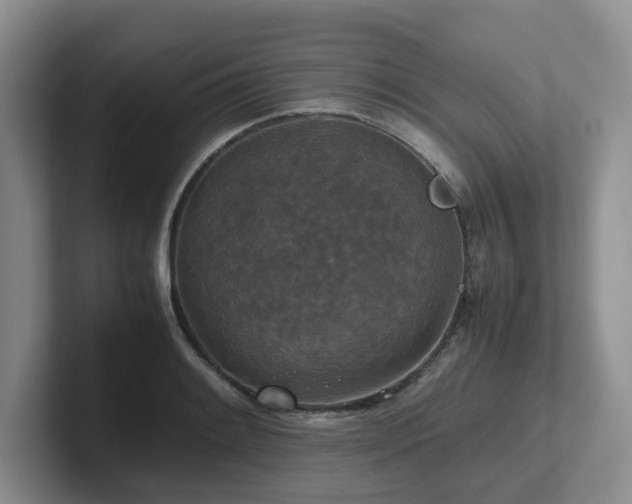 X0000102511084200808081405