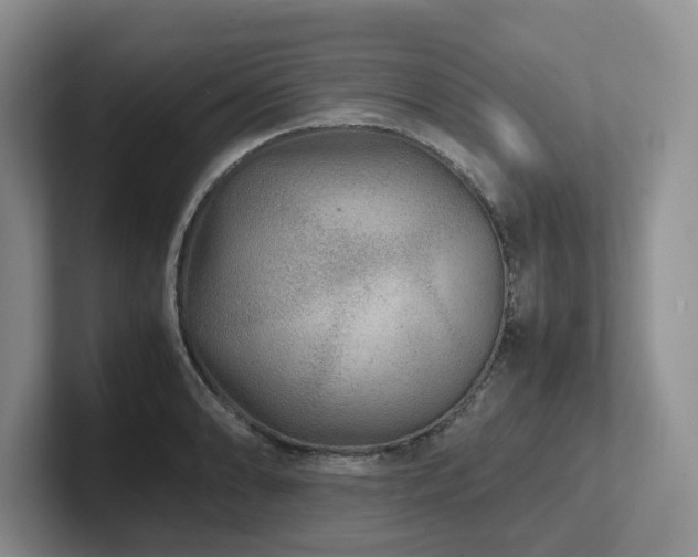 X0000102511086200808081405