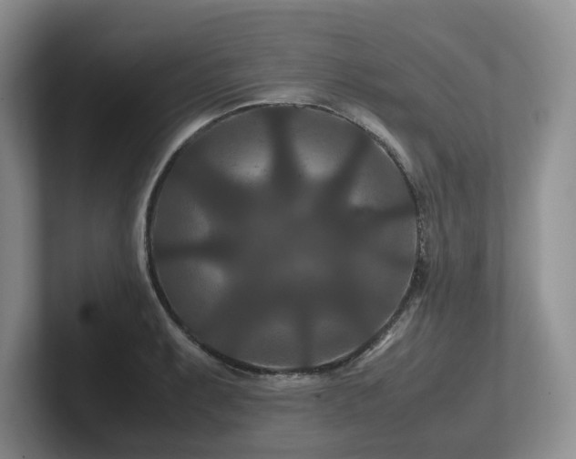 X0000102511087200808081405