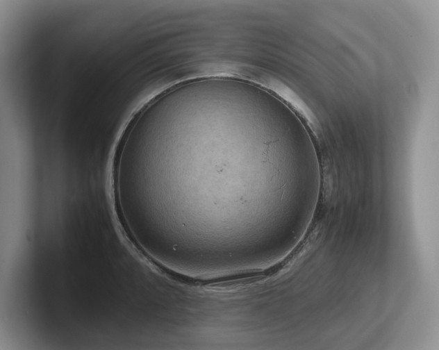 X0000102511088200808081405