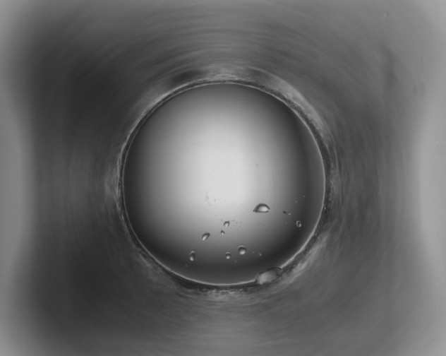 X0000102511089200808081405
