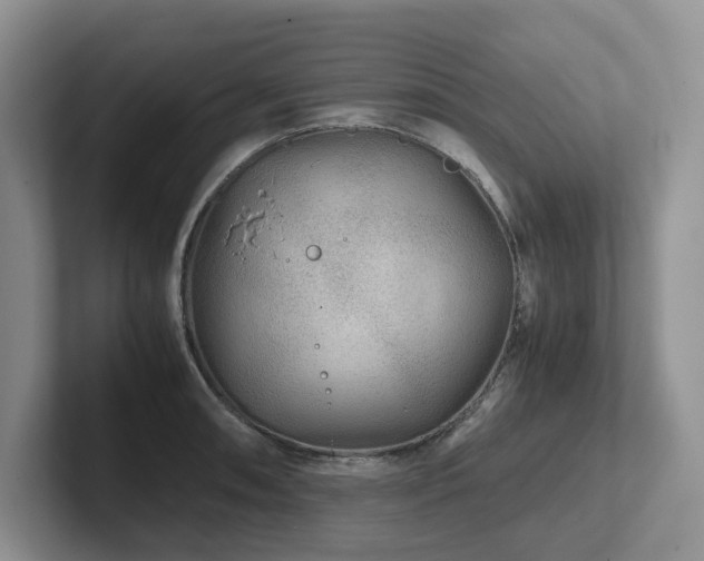 X0000102511090200808081405