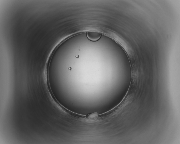 X0000102511092200808081405