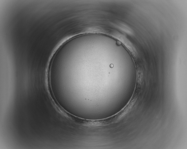 X0000102511094200808081405