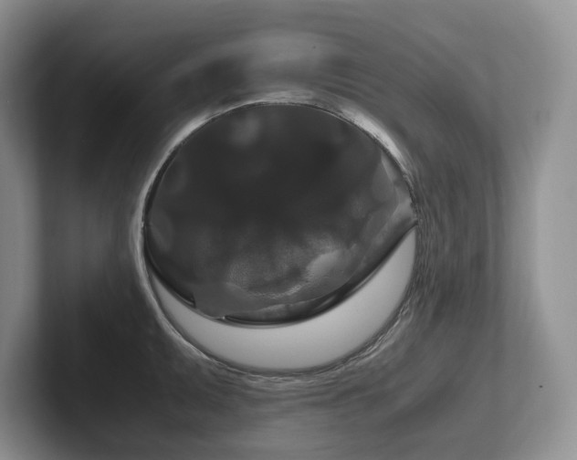 X0000102511095200808081405