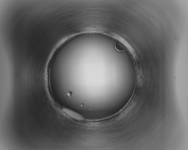 X0000102511096200808081405