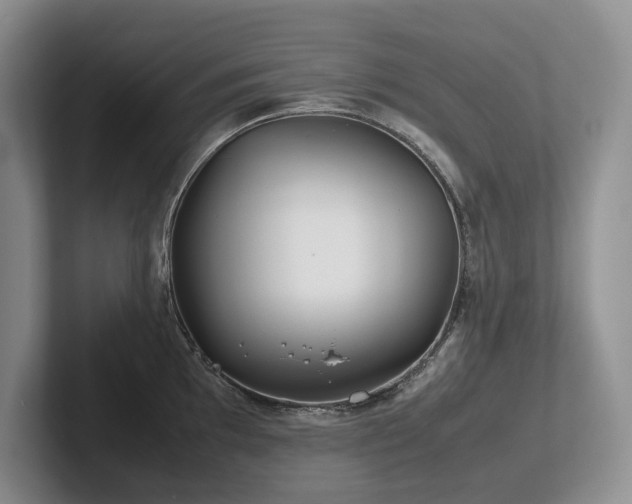 X0000102511097200808081405