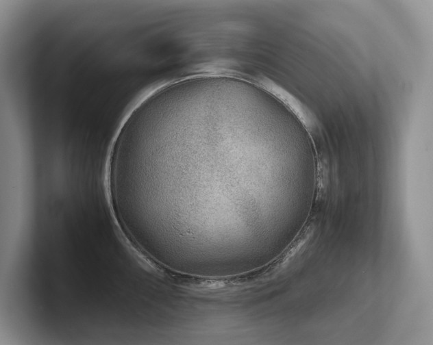 X0000102511098200808081405