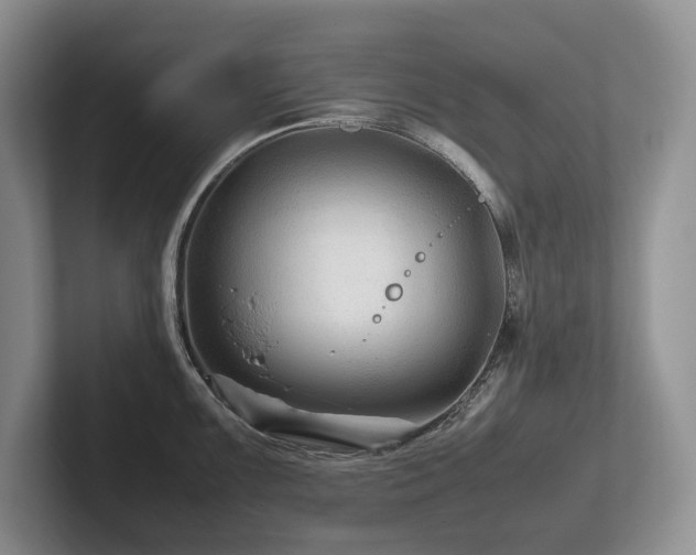 X0000102511099200808081405