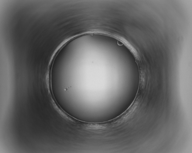 X0000102511100200808081405