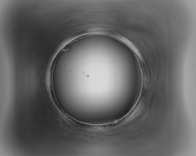 X0000102511101200808081405