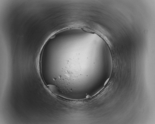 X0000102511103200808081405