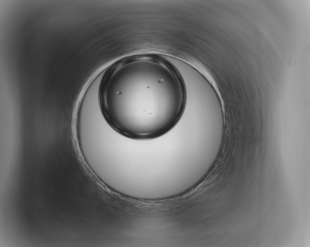 X0000102511104200808081405