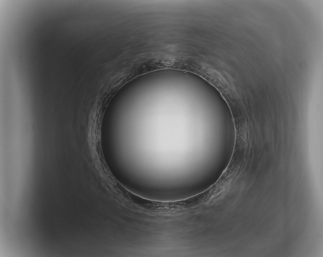 X0000102511105200808081404