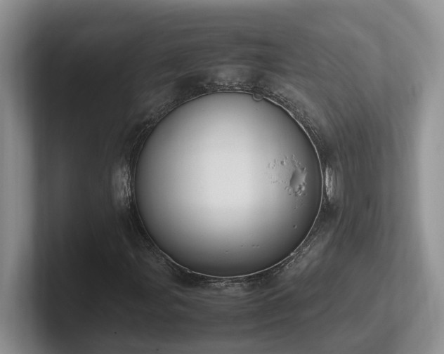 X0000102511107200808081404