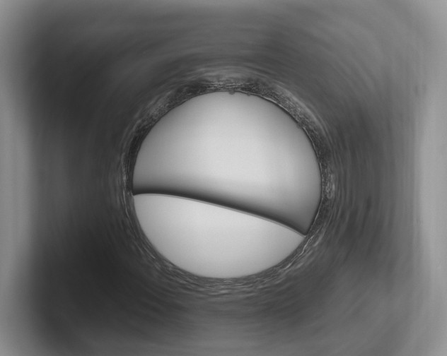 X0000102511108200808081404