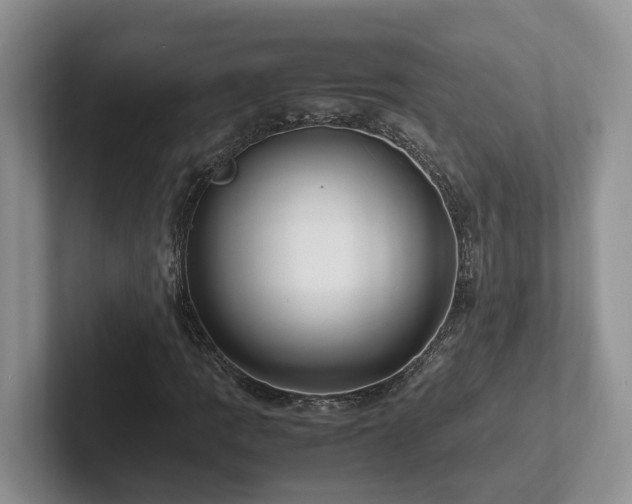X0000102511109200808081404