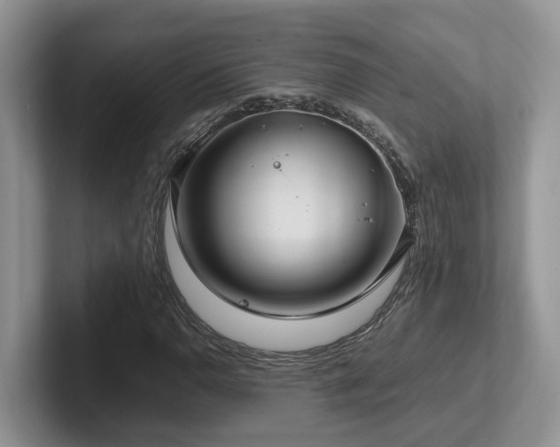X0000102511110200808081404