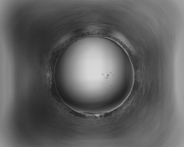 X0000102511111200808081404