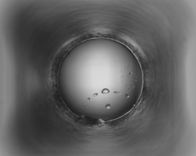 X0000102511112200808081404