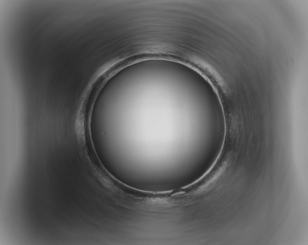 X0000102511114200808081404