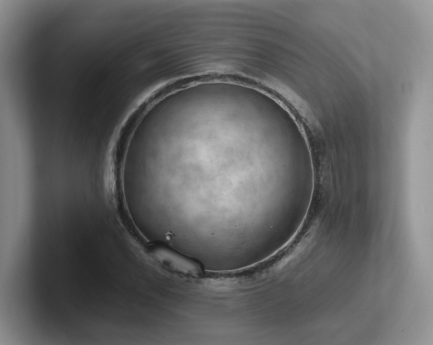 X0000102511118200808081404