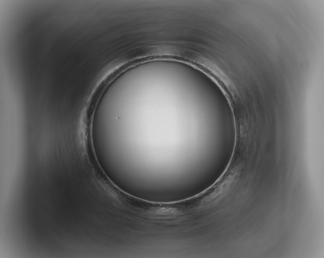 X0000102511119200808081404
