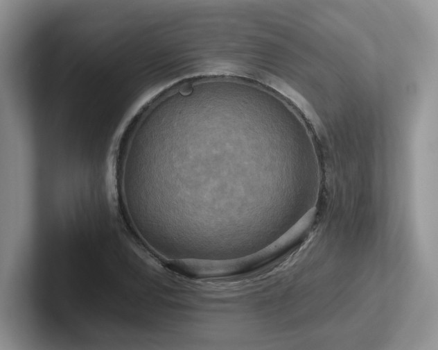 X0000102511120200808081404