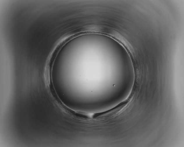 X0000102511123200808081404