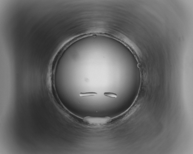 X0000102511124200808081404
