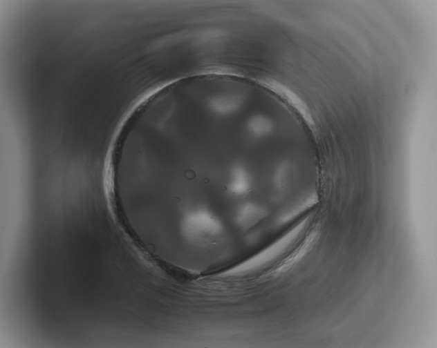 X0000102511125200808081404