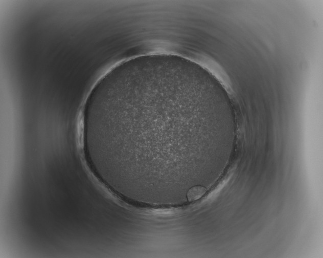 X0000102511126200808081404