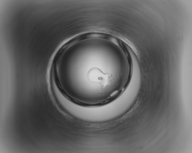 X0000102511128200808081404