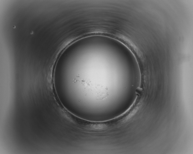 X0000102511129200808081404