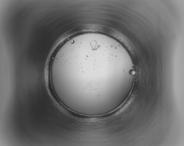 X0000102511130200808081404