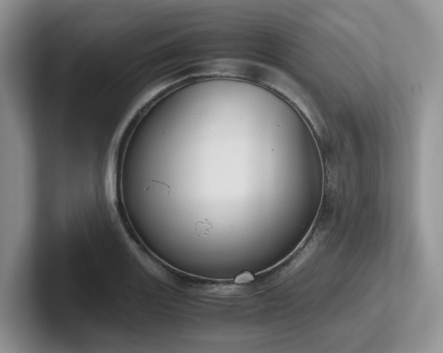 X0000102511131200808081404