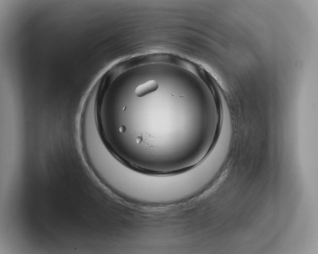 X0000102511134200808081404