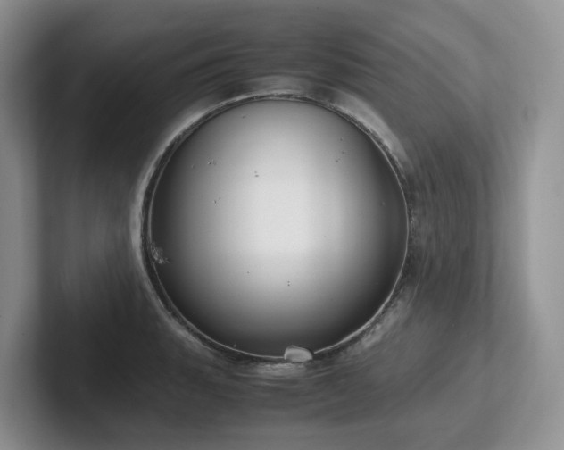 X0000102511135200808081404