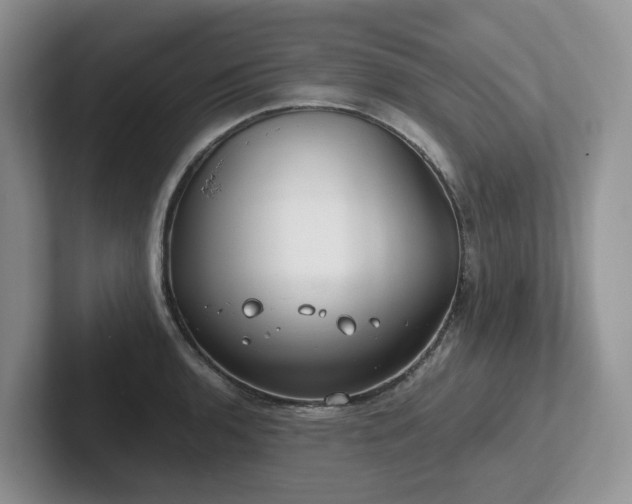 X0000102511136200808081404