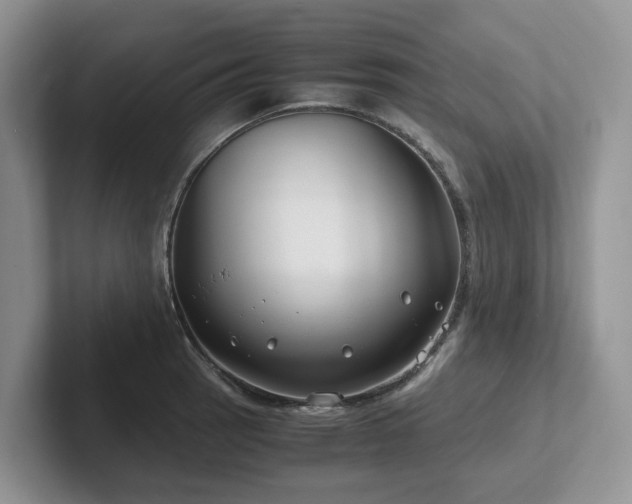 X0000102511137200808081404