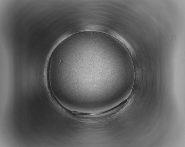 X0000102511138200808081404