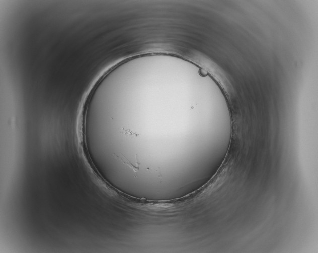 X0000102511140200808081404