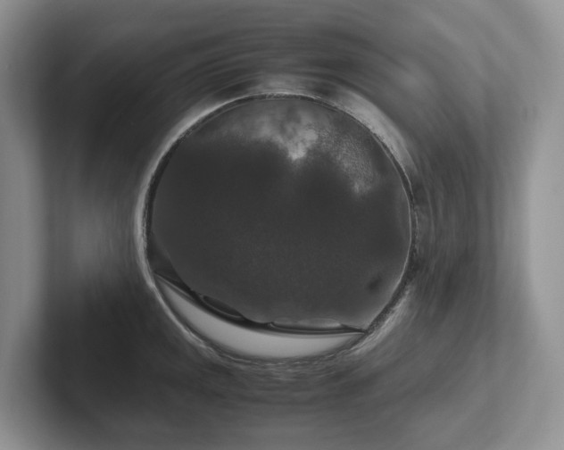 X0000102511141200808081404