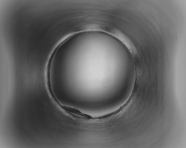 X0000102511142200808081405