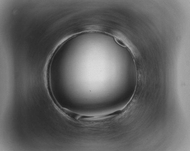 X0000102511143200808081405