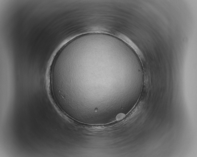 X0000102511144200808081405