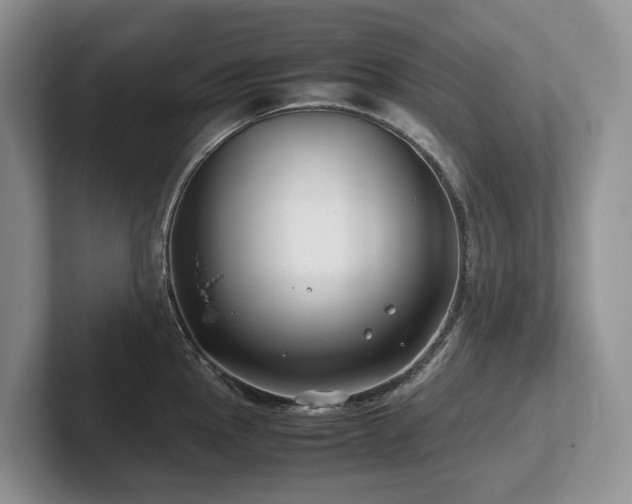 X0000102511145200808081405